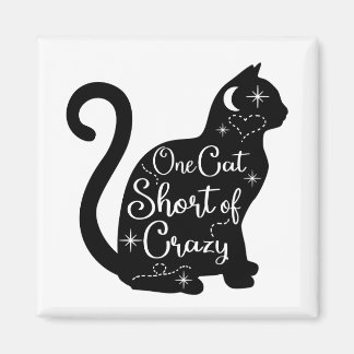 Cat fridge magnet