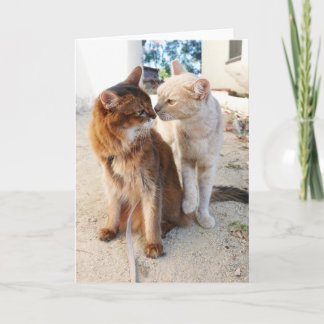 Cat Friends - Cute Cat Lovers Romance Card