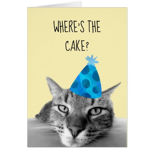 Cat Funny Birthday Card Wheres the cake