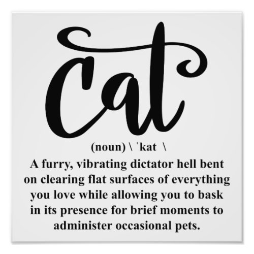 Cat Funny Definition Satin Print Photo Wall Art