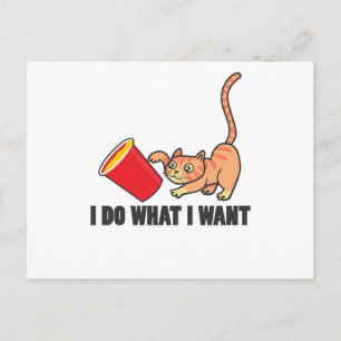 Cat Funny Design Cats Cute Paw Pet Animal Gift Postcard