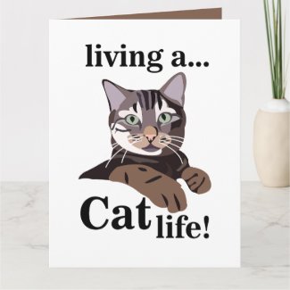 Cat Funny Pet Card