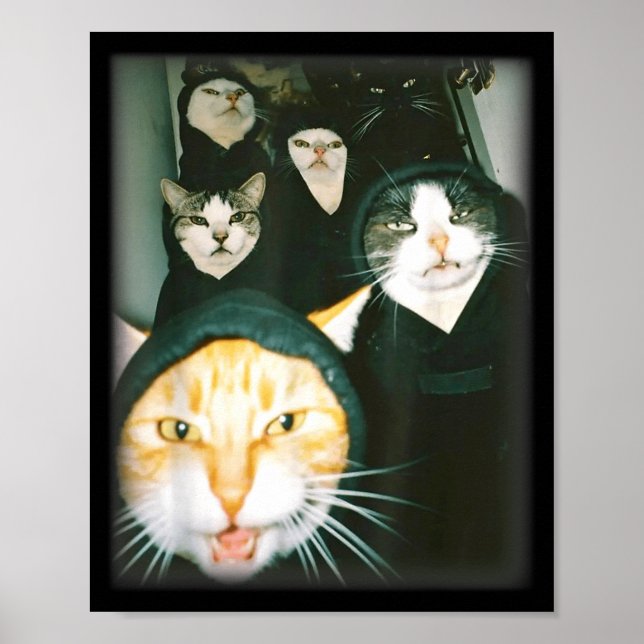 Cat Gang Meme Funny Chaotic Cats Unhinged Feline H Poster (Front)