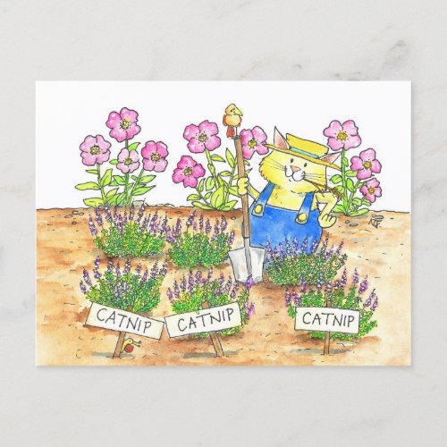Cat Gardener  Postcard