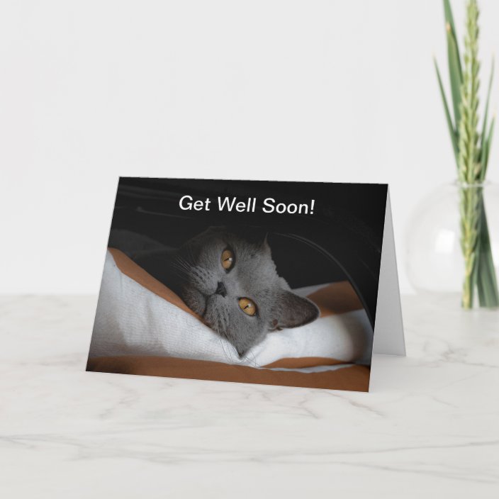 Cat Get Well Soon Customizable Card | Zazzle.com