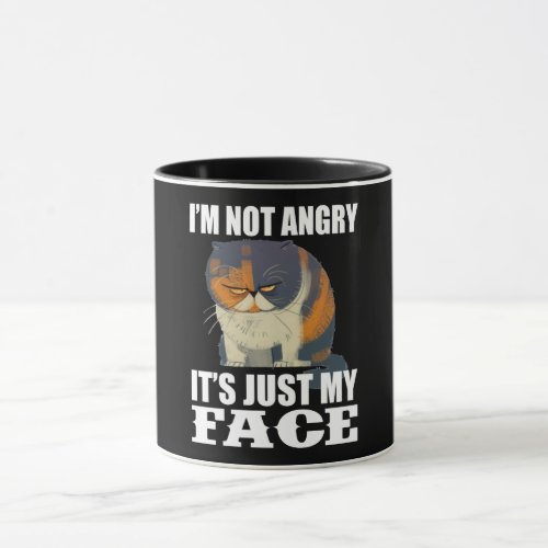 Cat Gift  Im Not Angry Its Just My Face Old Cat Mug