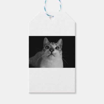 cat gift tags