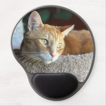 Cat Ginger On A Mousepad by generalmarketjoe at Zazzle