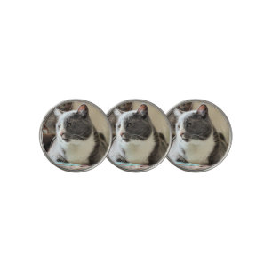 Cat Golf Ball Marker