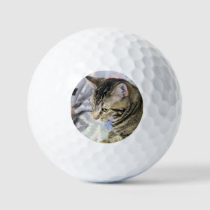 Cat Golf Balls