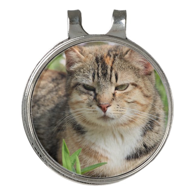 Cat Golf Hat Clip (Front)