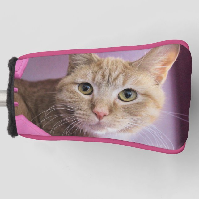 Cat Golf Head Cover (Front)