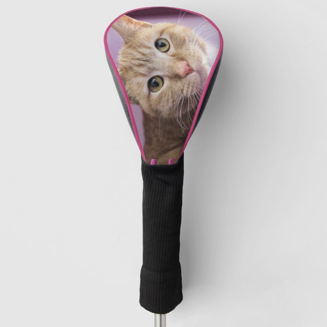 Cat Golf Head Cover (Front)
