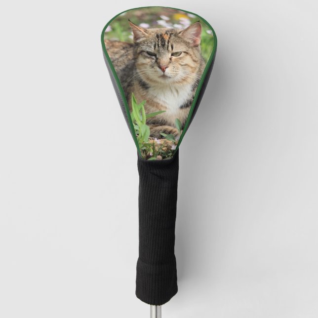 Cat Golf Head Cover (Front)