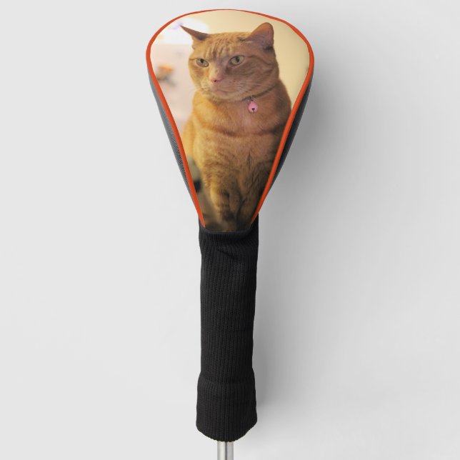 Cat Golf Head Cover (Front)