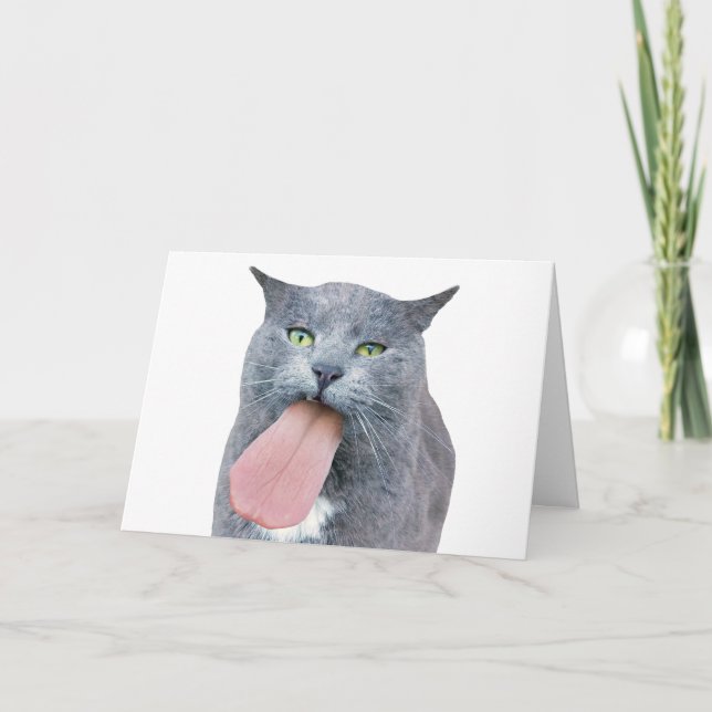 Cat Got Your Tongue? Card (Front)