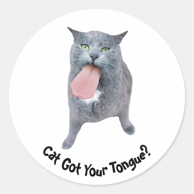 Cat Got Your Tongue? Classic Round Sticker (Front)