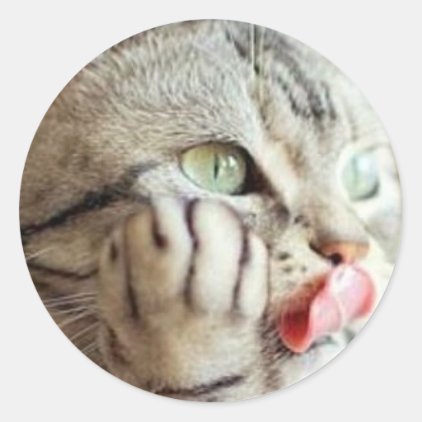 Cat Got Your Tongue? Classic Round Sticker