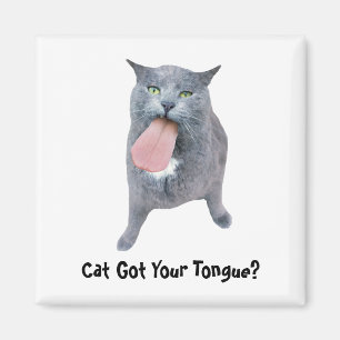 Cat Got Your Tongue? Magnet