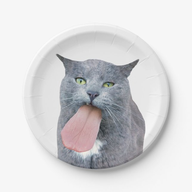 Cat Got Your Tongue? Paper Plates (Front)