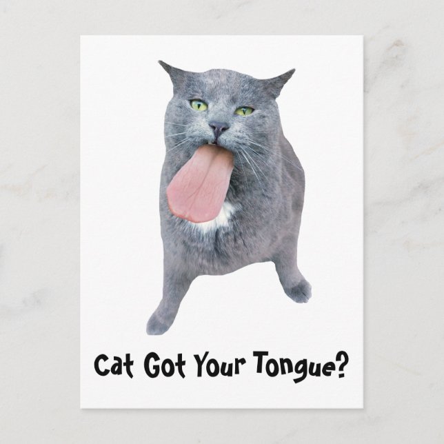 Cat Got Your Tongue? Postcard (Front)
