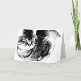 Cat Greeting Card
