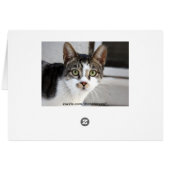 Cat Greeting Card (Back Horizontal)