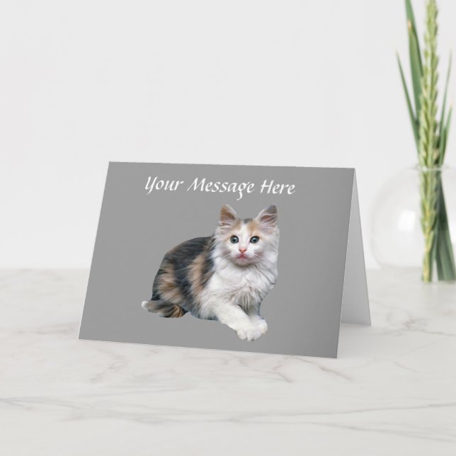 Cat Greeting Card (Front)