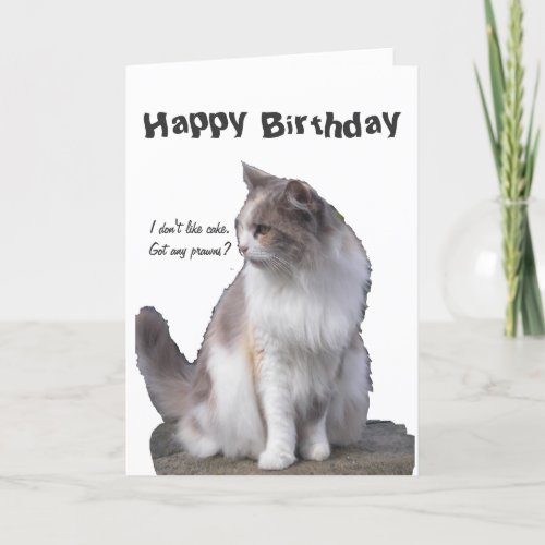 Cat greeting cards