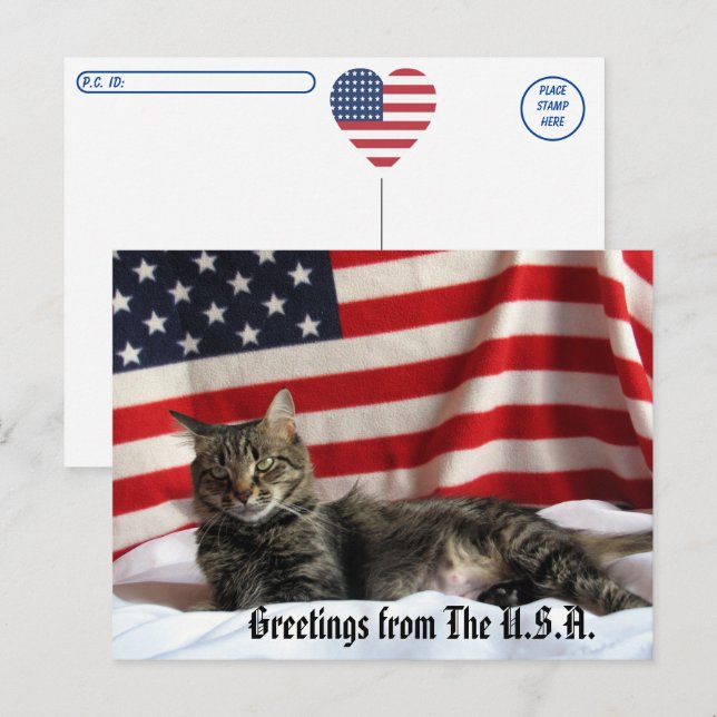 Cat Greetings from the U.S.A. Postcrossing  Postcard (Front/Back)