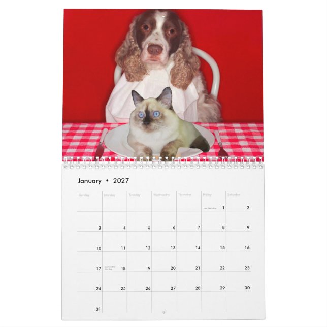 Cat Grinder Wall Calendar (Jan 2027)