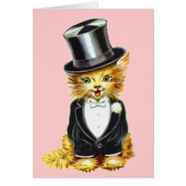Cat Groom Cards (Front)