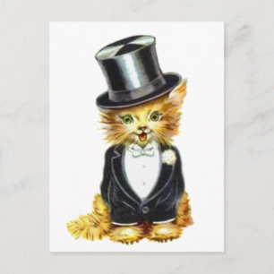 Cat Groom Postcard
