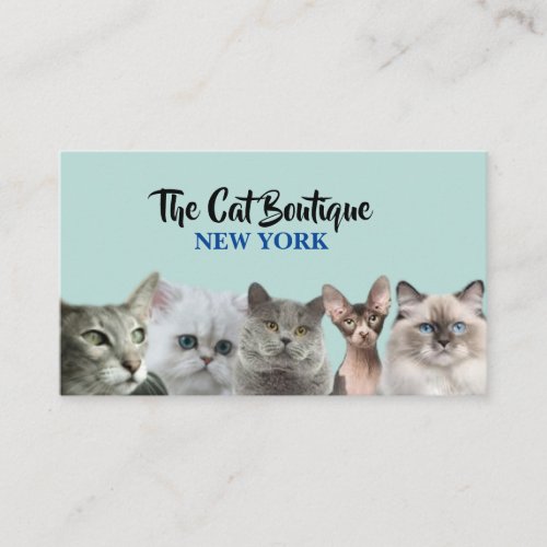 Cat  grooming boutique pet sitter cute  business card