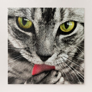 Cat Grooming - Jigsaw Puzzle