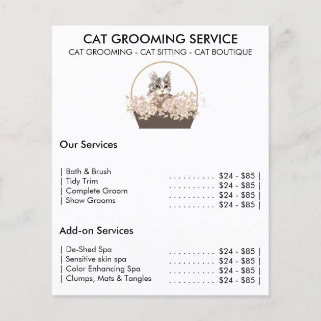 Cat grooming service minimal flyer