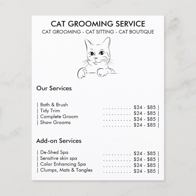 Cat grooming service modern flyer