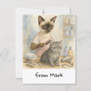 Cat Hairdresser  Postcard