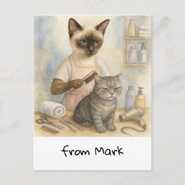 Cat Hairdresser  Postcard (Front)