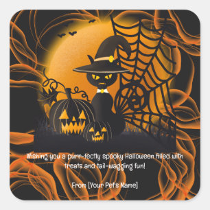 Cat Halloween Pet in spooky costumes Square Sticker