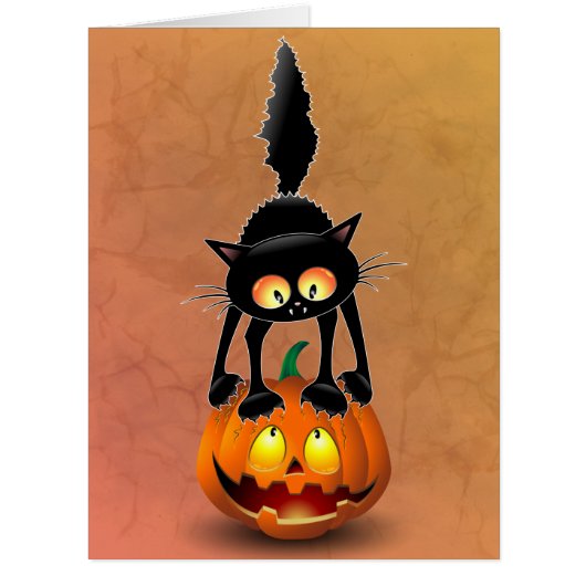 Cat Halloween Scared Cartoon on Pumpkin (Front)