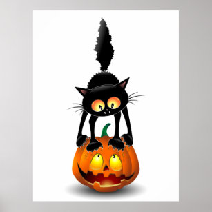 Scared Cat Posters for Sale