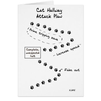 Cat Hallway Attack Plan by FunkyChicDesigns at Zazzle