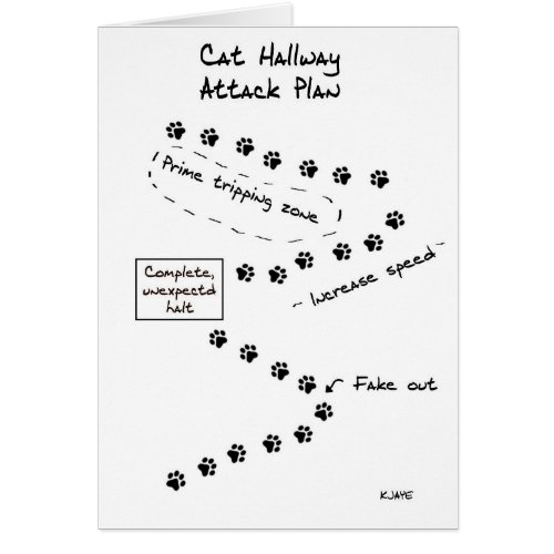 Cat Hallway Attack Plan