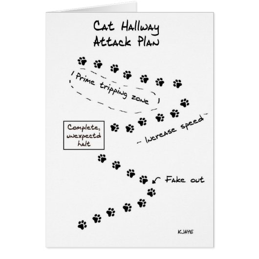 Cat Hallway Attack Plan Cards (Front)