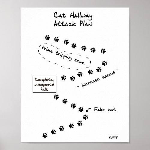 Cat Hallway Attack Plan Poster