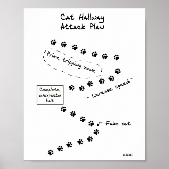 Cat Hallway Attack Plan Poster (Front)