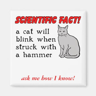 Cat Hammer Funny Magnet Humor