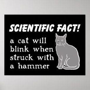 Cat Hammer Funny Print Poster Humor