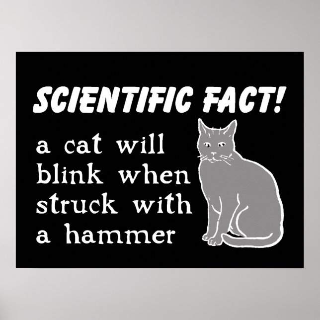 Cat Hammer Funny Print Poster Humor (Front)